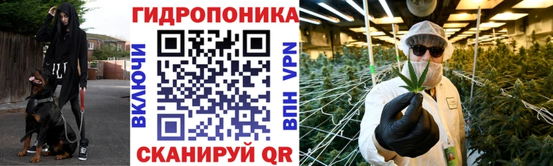 ОМГ ОМГ tor  Беслан  Каннабис White Widow 